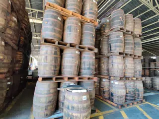 Rum Aging Barrels on the Flor de Caña Tour