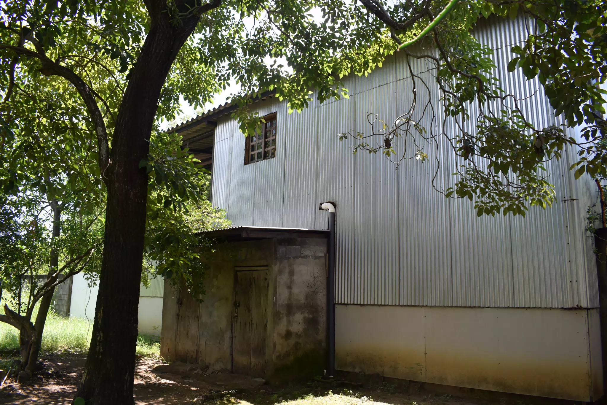 SG: Main Building from Parking Area