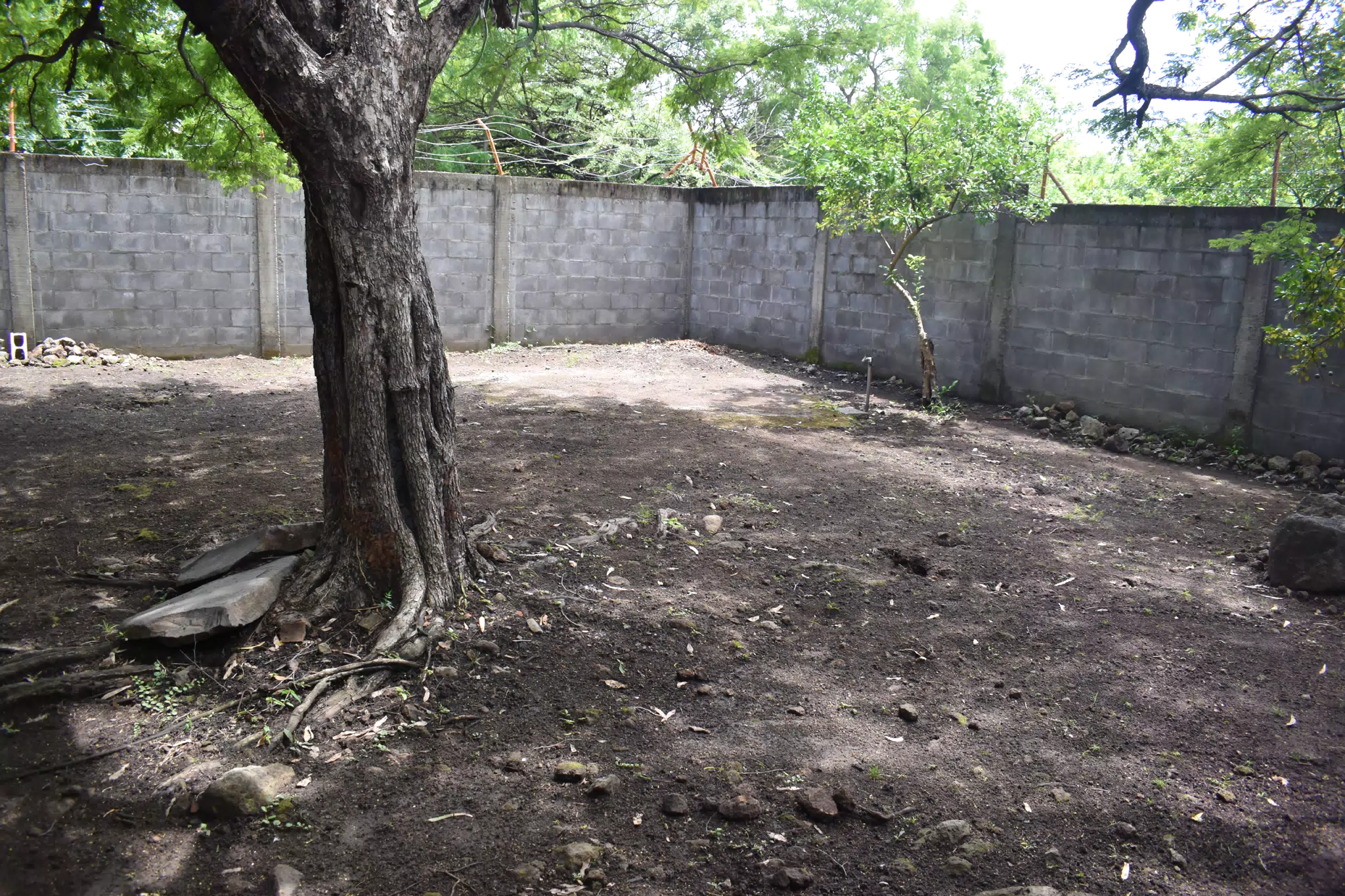 SG: Restaurant Area Under Tree