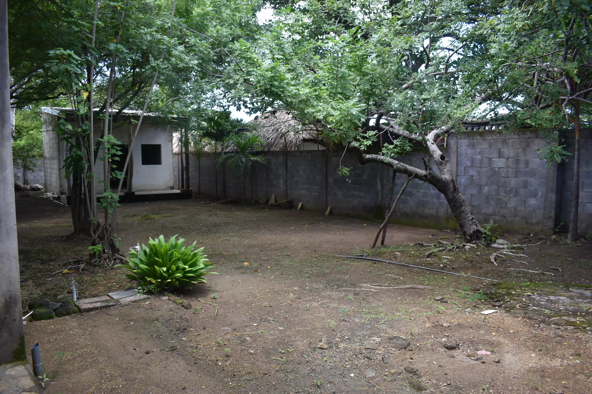 SG: Future Pool Area in Front of Casita