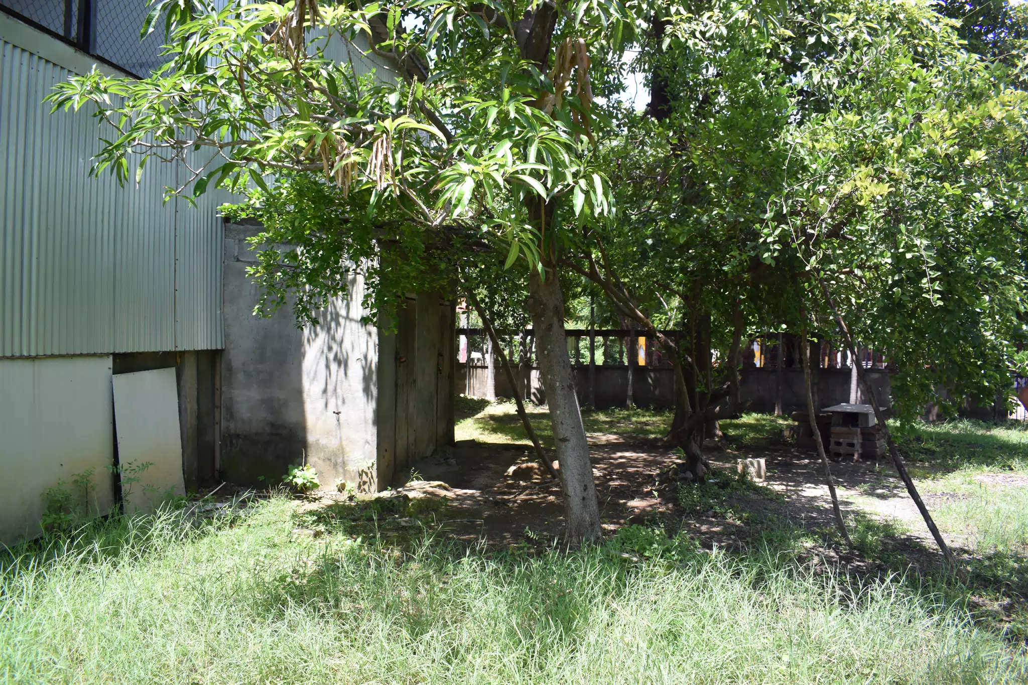 SG: Parking Lot Behind Kitchen