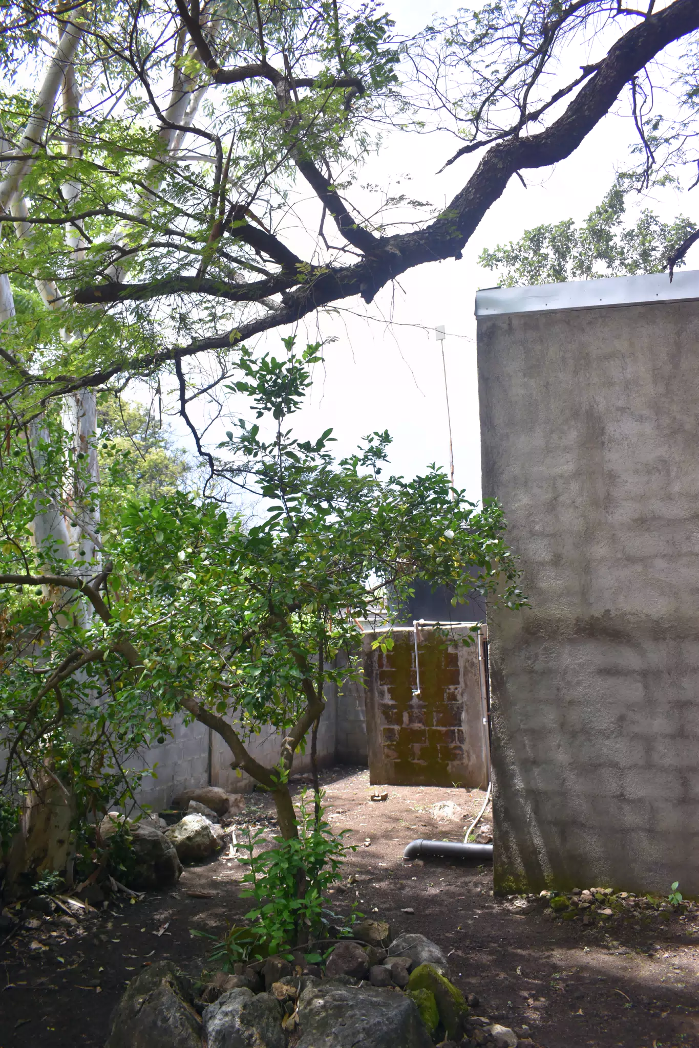 SG: Area Behind Casita