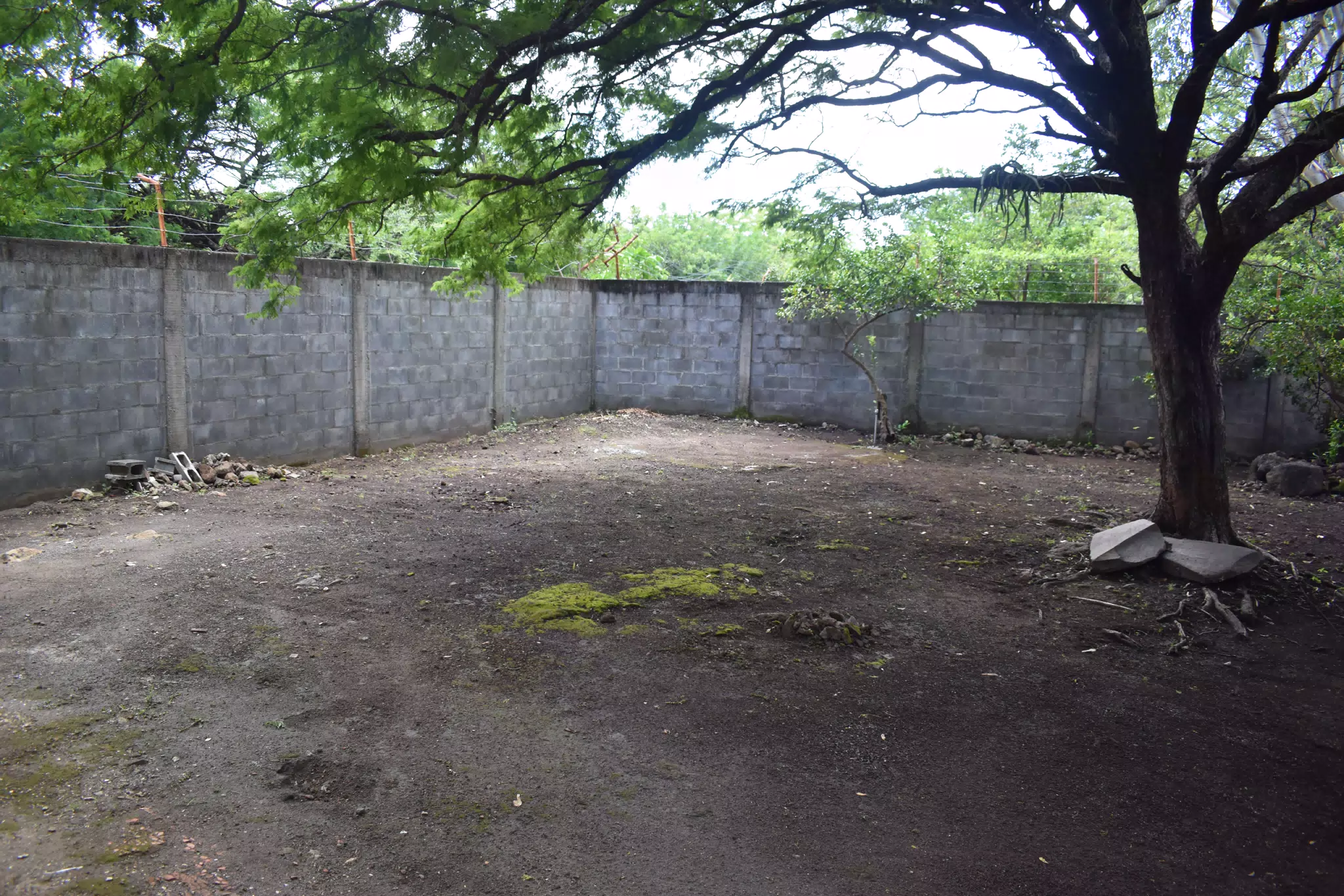 SG: Garden Corner on East End