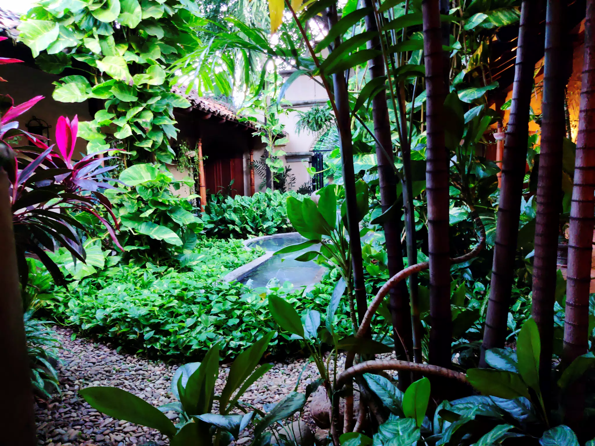Hotel Los Robles, Managua, Nicaragua