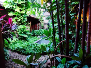 Hotel Los Robles, Managua, Nicaragua