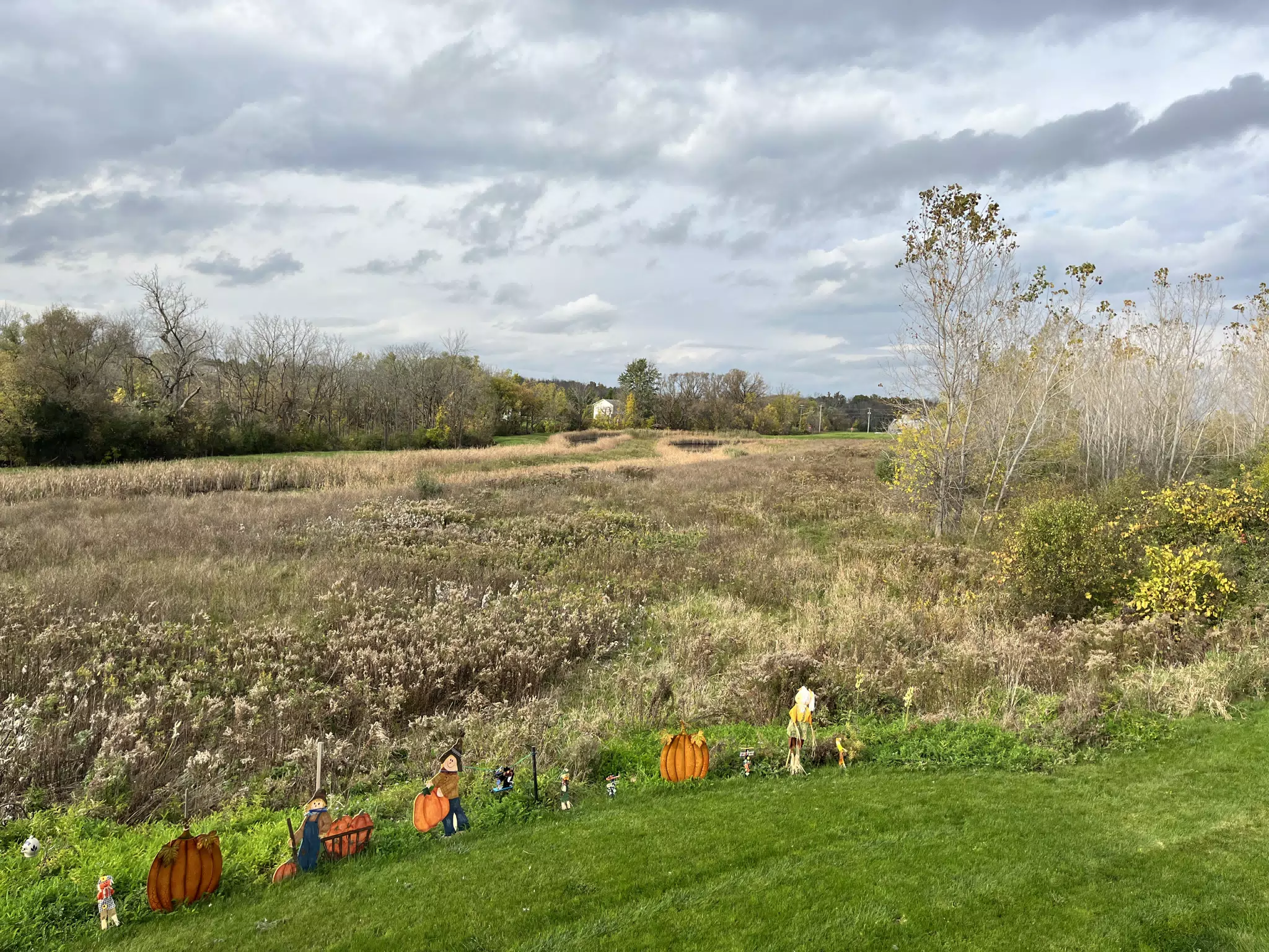 Halloween Decorations at The Hammocks in Geneseo
