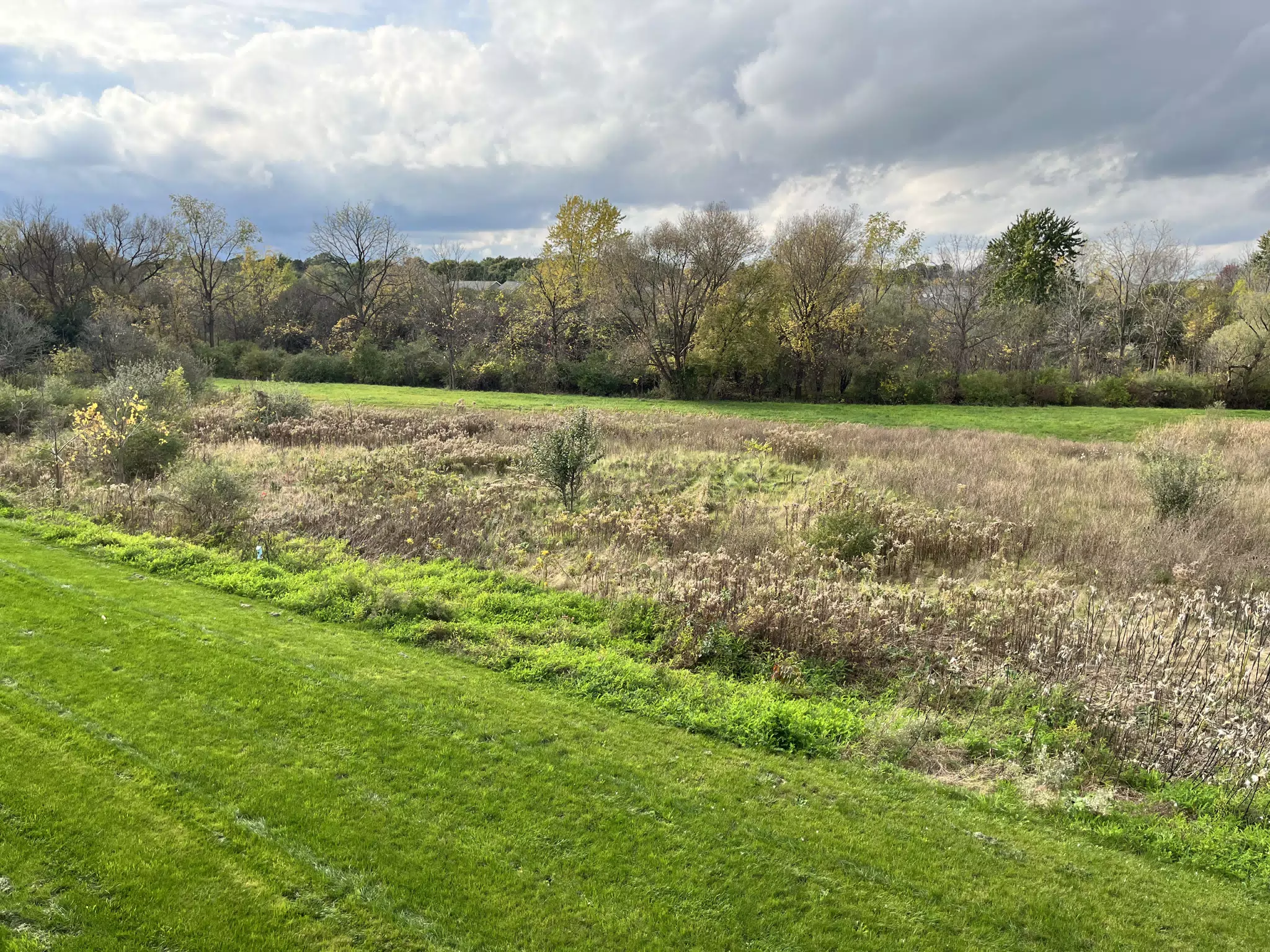 Field by The Hammocks in Geneseo