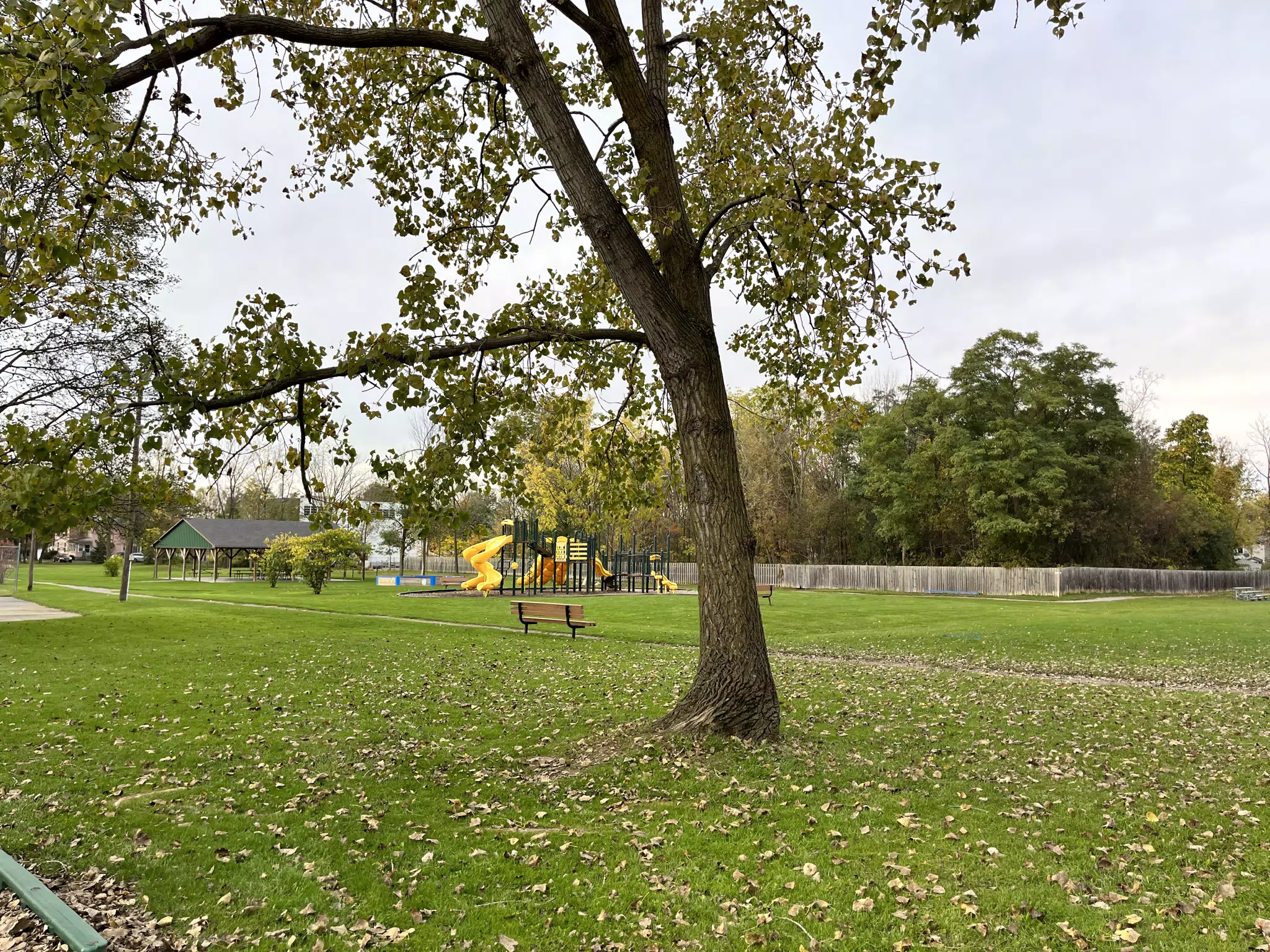 Tree and Playground in Highland Park in Geneseo NY