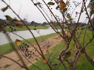 Olympus E-PL9 Overcast Test
