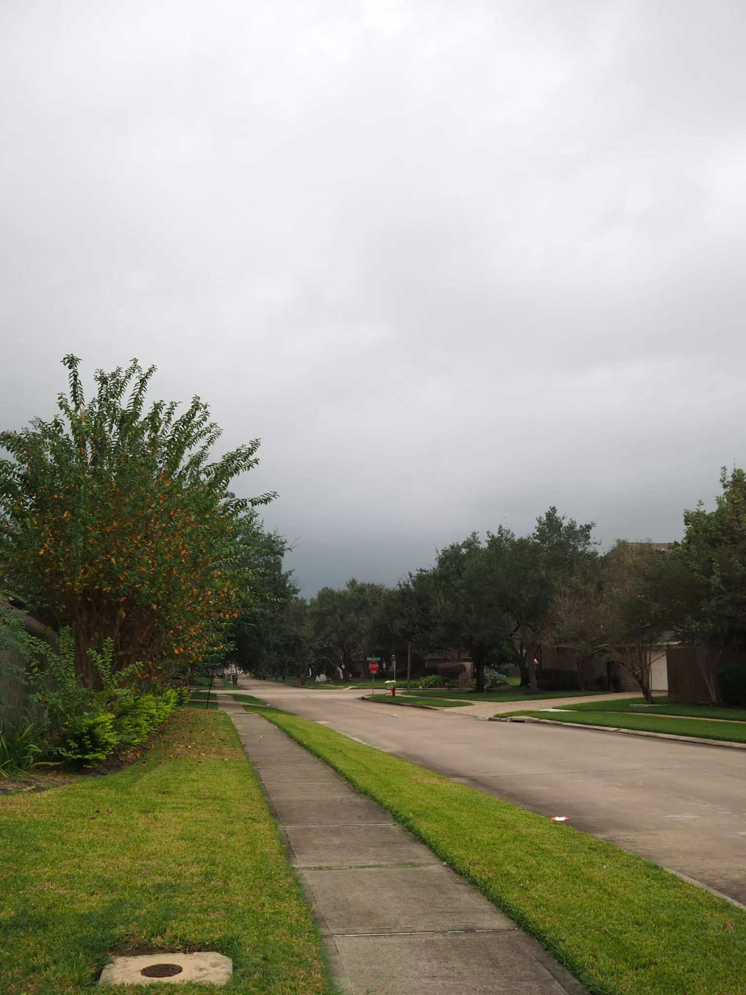 Olympus E-PL9 Overcast Test