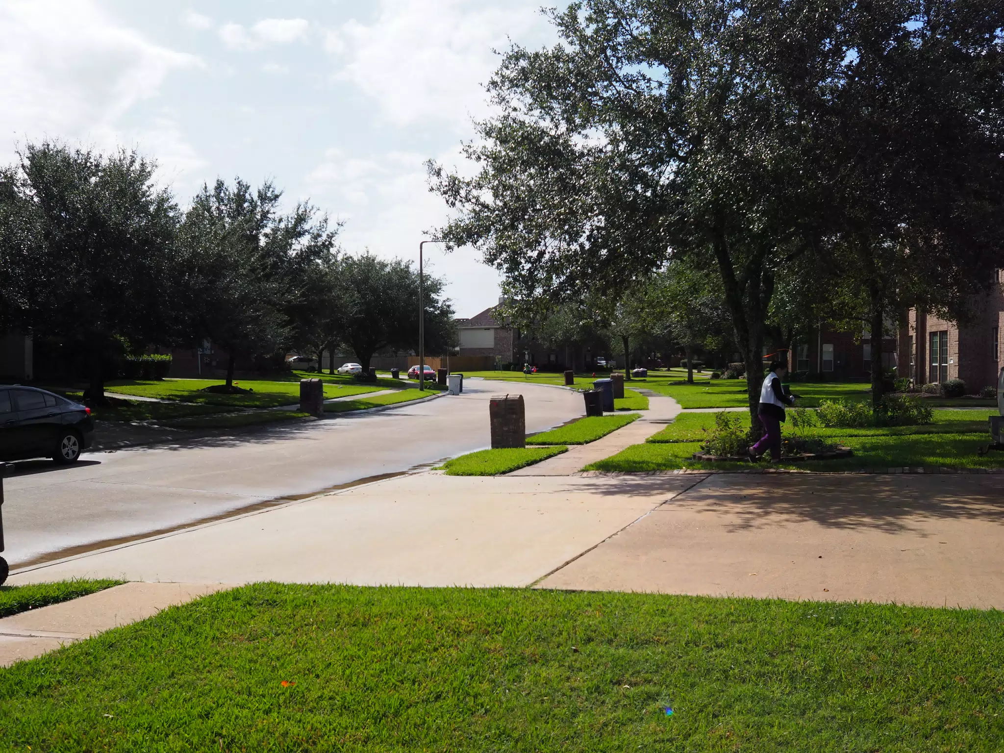 Street in Friendswood Texas