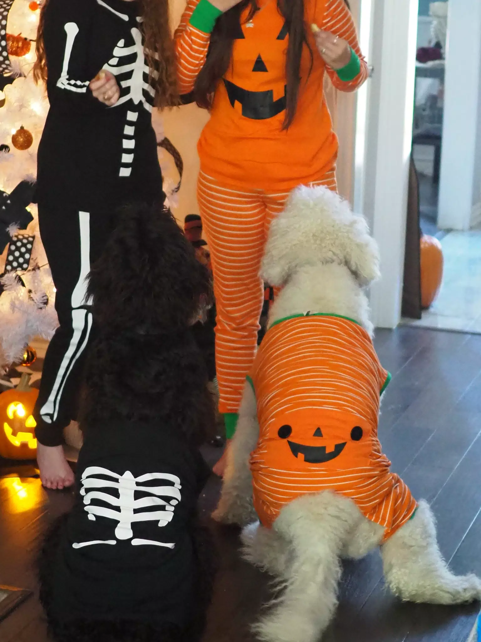 Madeline & Emily w Dogs in Halloween Pajama Photoshoot