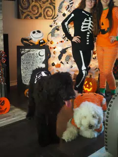 Madeline & Emily w Dogs in Halloween Pajama Photoshoot