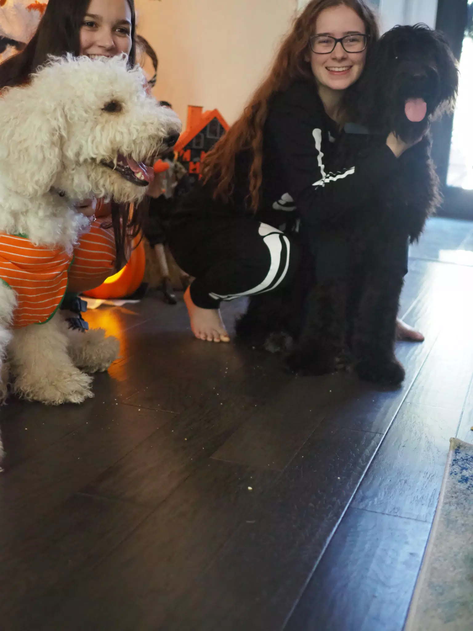 Madeline & Emily w Dogs in Halloween Pajama Photoshoot