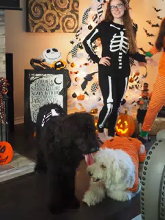 Madeline & Emily w Dogs in Halloween Pajama Photoshoot