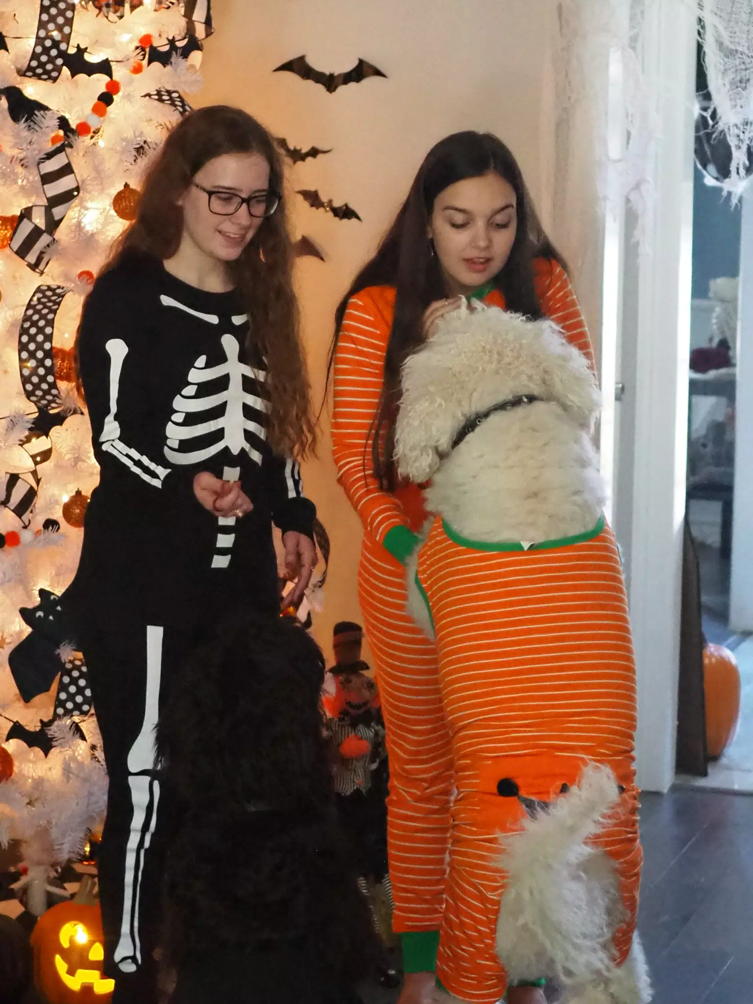 Madeline & Emily w Dogs in Halloween Pajama Photoshoot