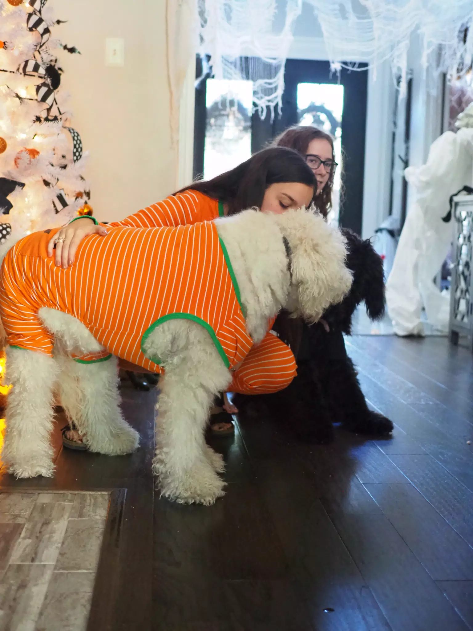 Madeline & Emily w Dogs in Halloween Pajama Photoshoot