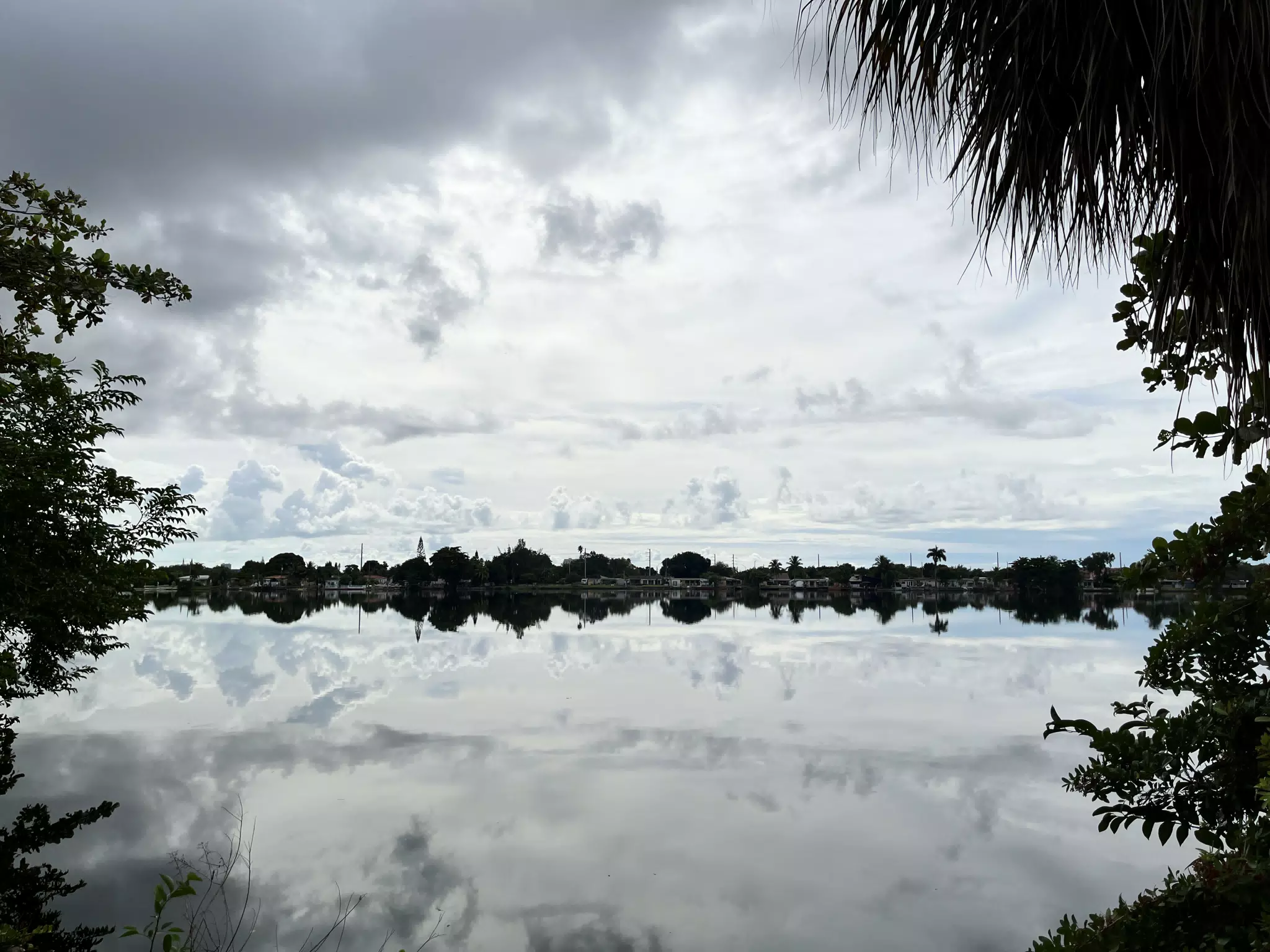 Miami Pond