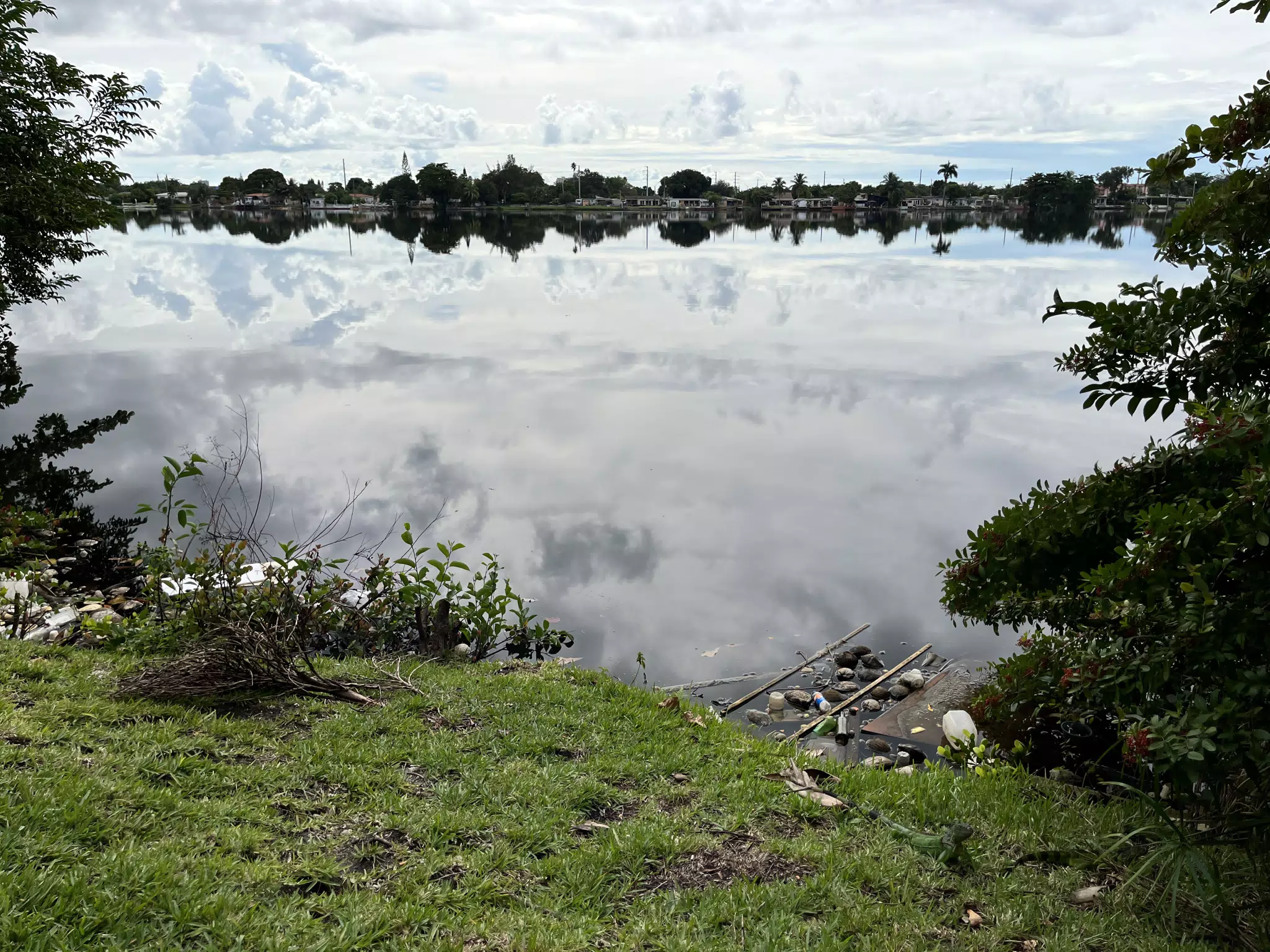 Pond Behind the Springhill Suites Miami Airport