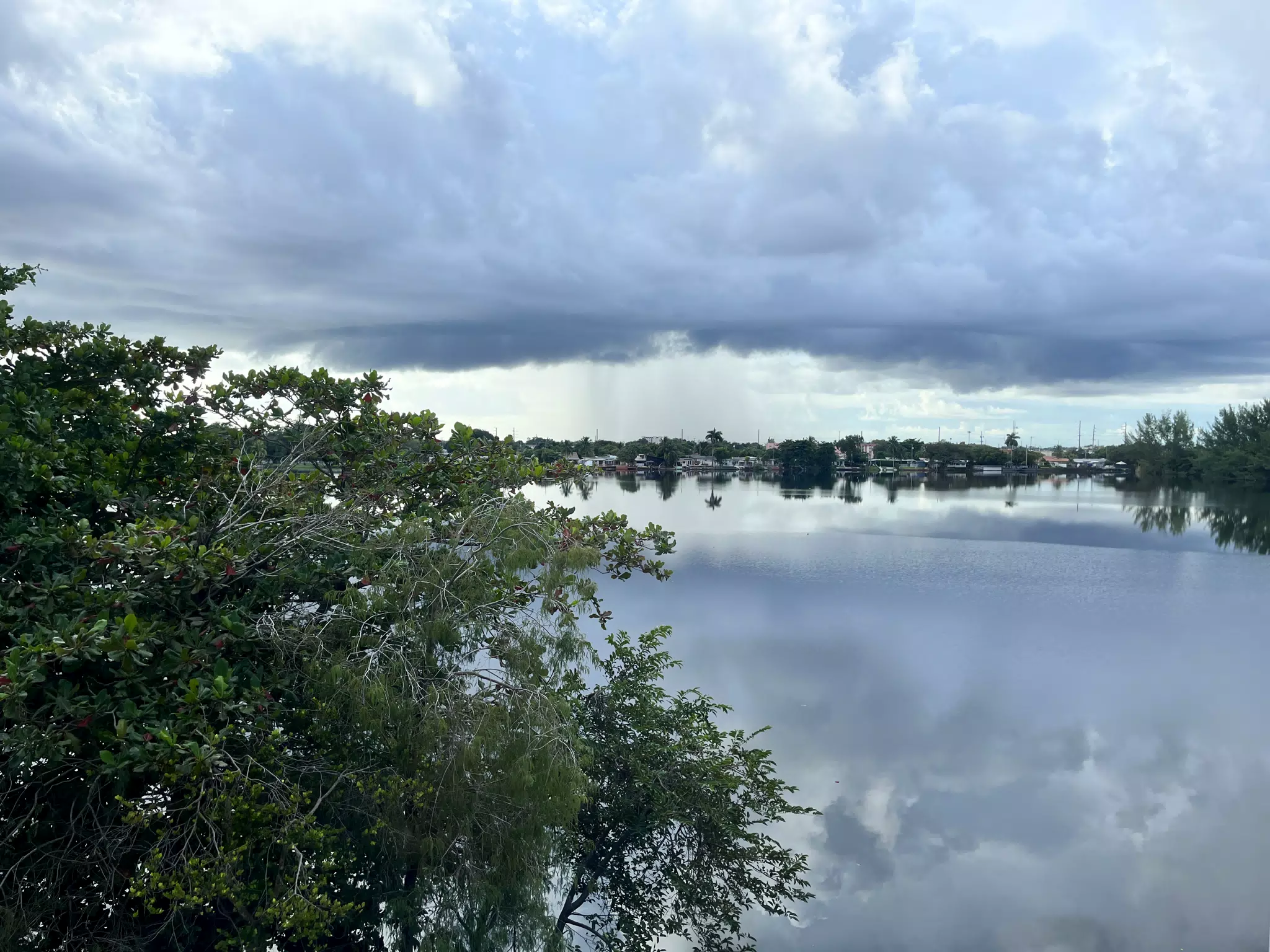 Lake View from Springhill Suites Miami Airport