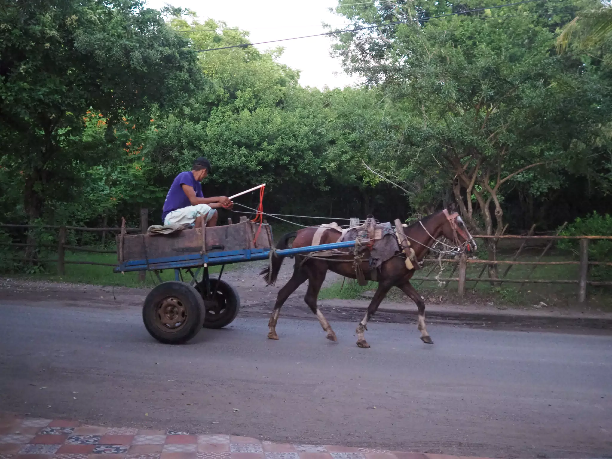 Horse Drawn Cart in Las Penitas, Nicaragua