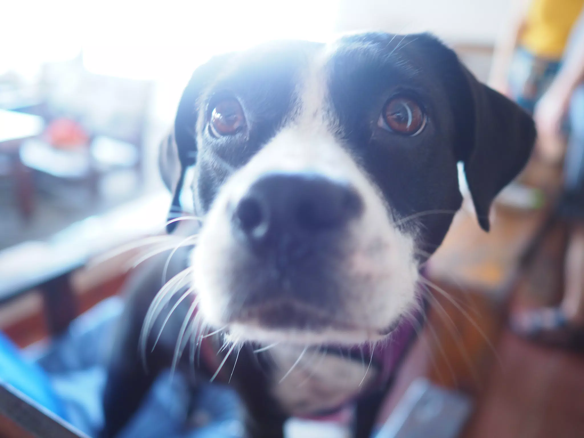 Mia Says Good Morning