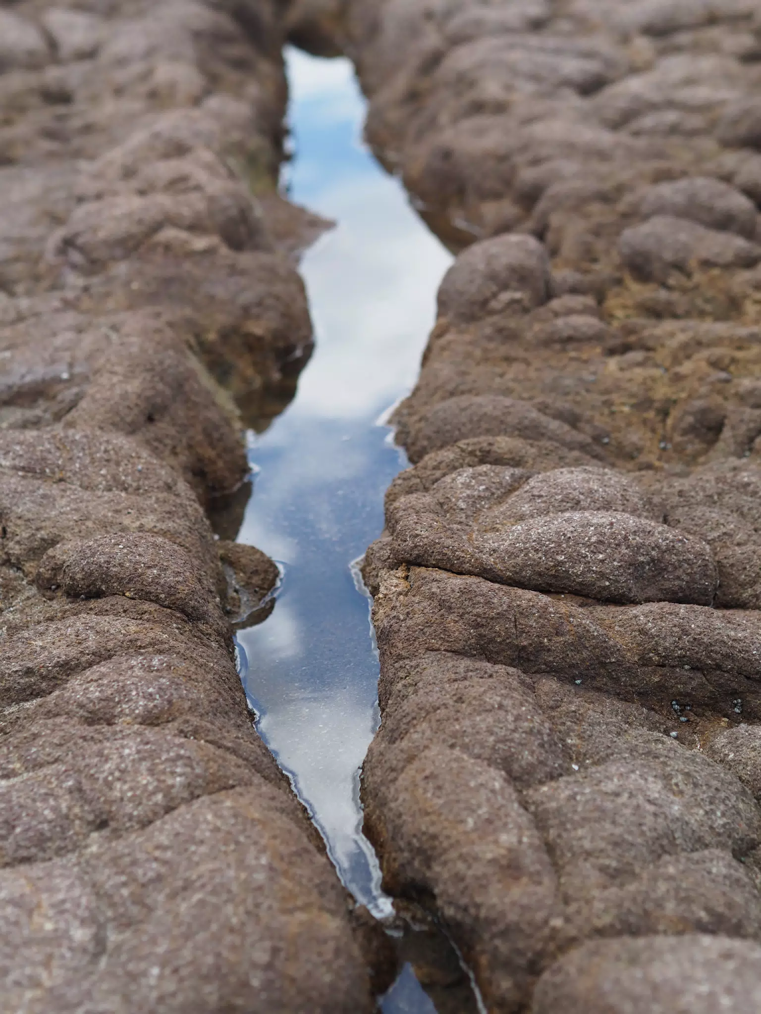 Ocean Puddle in Rocks