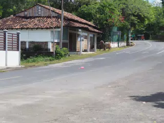 PB270539
