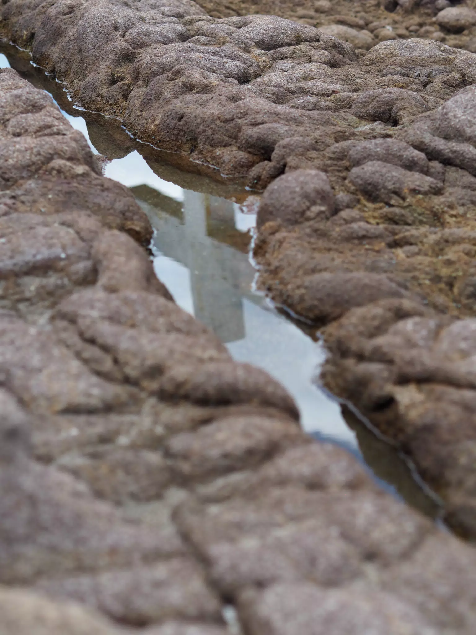 Cross Reflection in Puddle in Poneloya