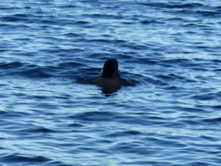P1110681