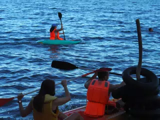 PC110778