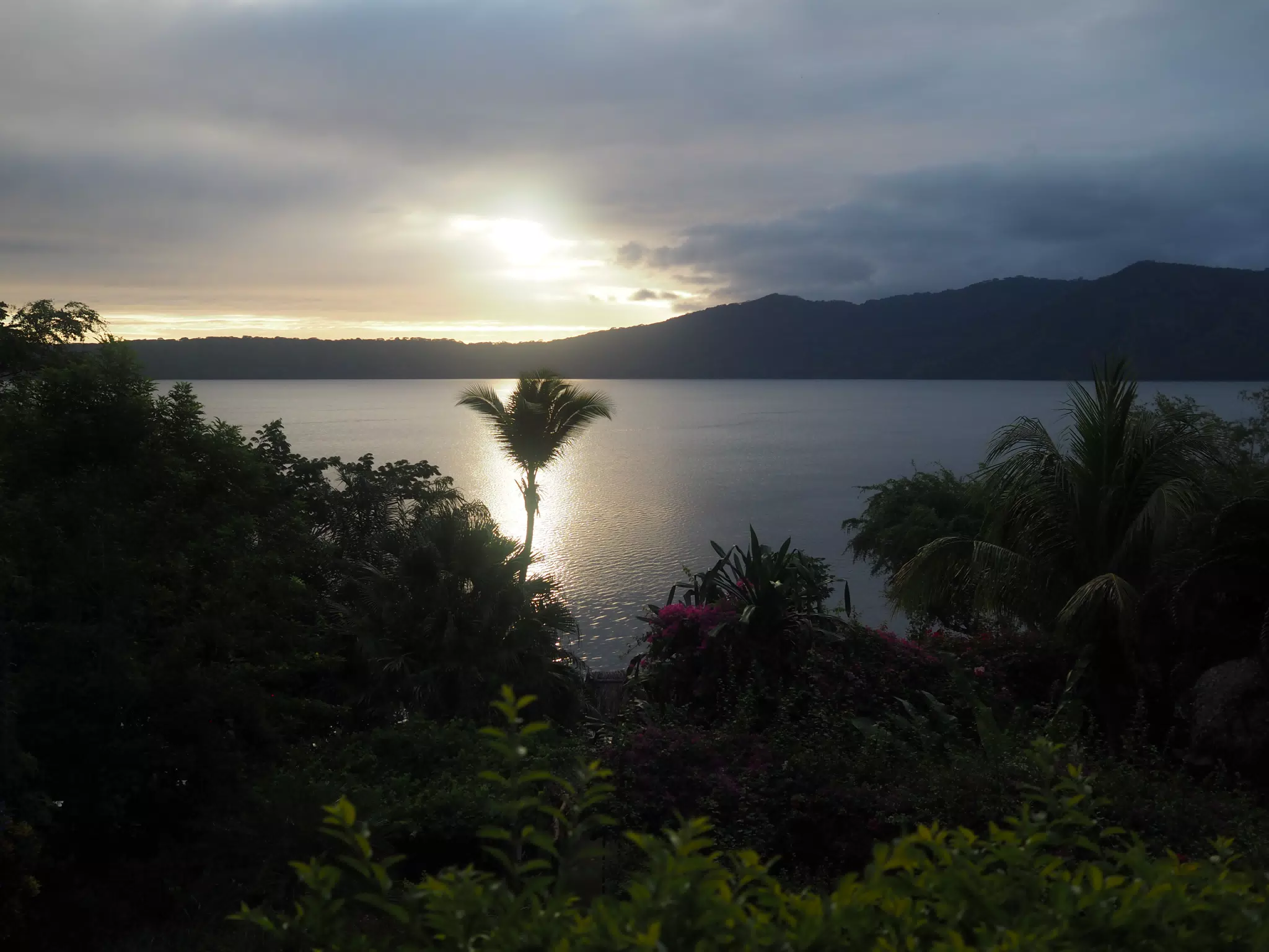 Palm Tree in Sunrise Reflection on Laguna de Apoyo, Nicaragua