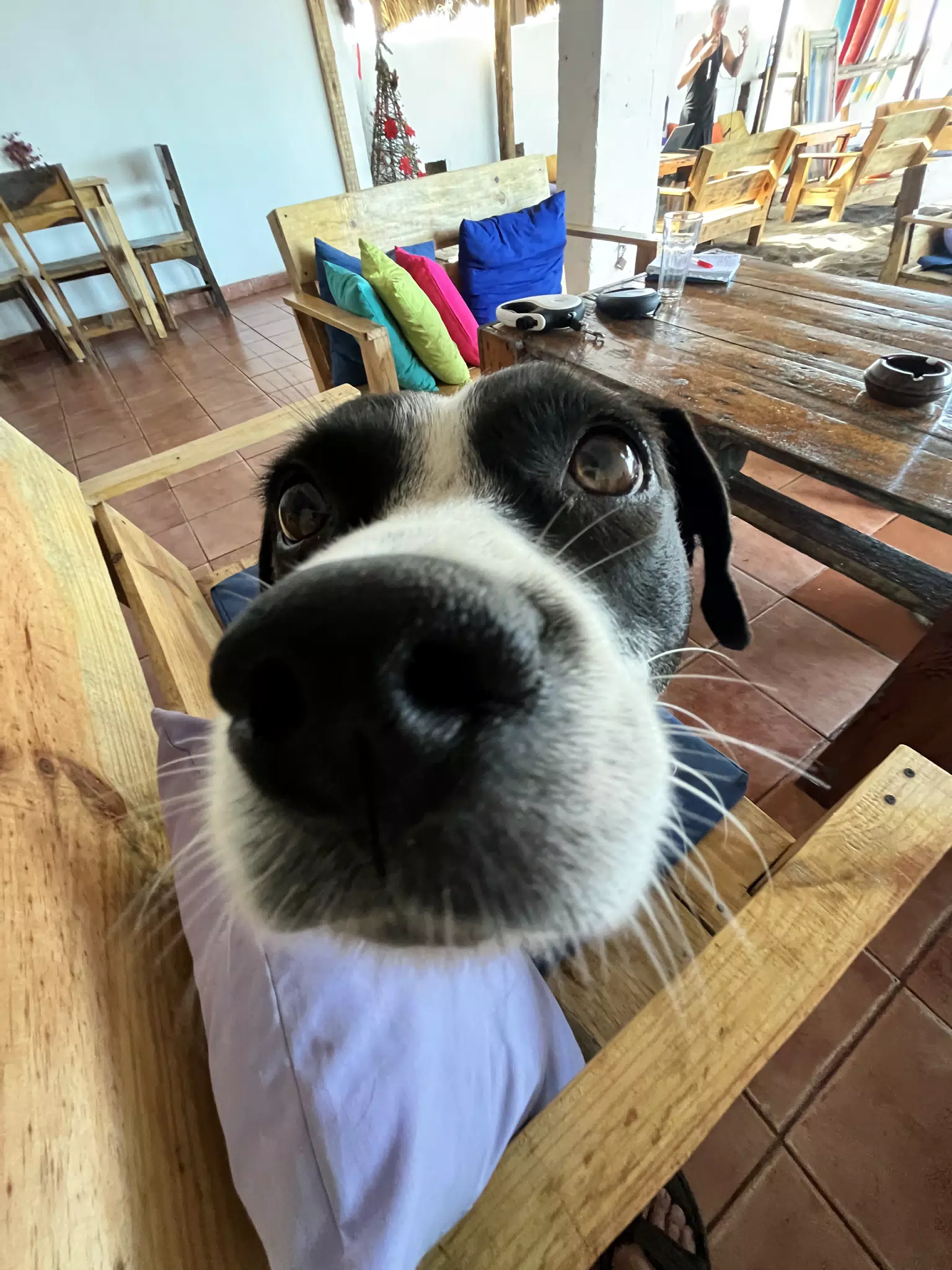 Boop Mia's Nose