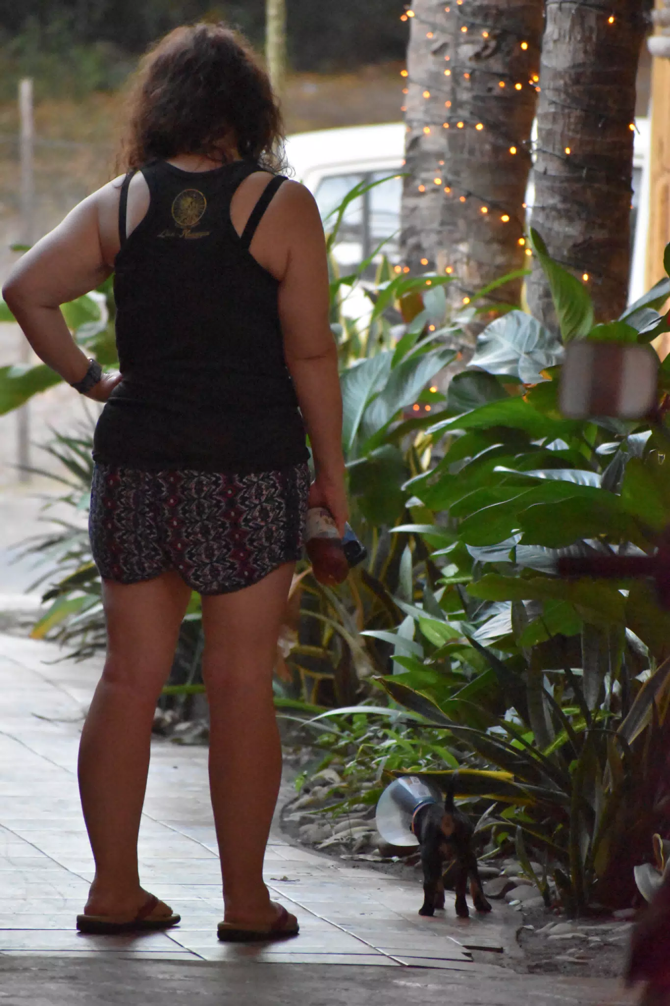 DSC_0061