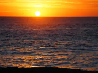 01073068