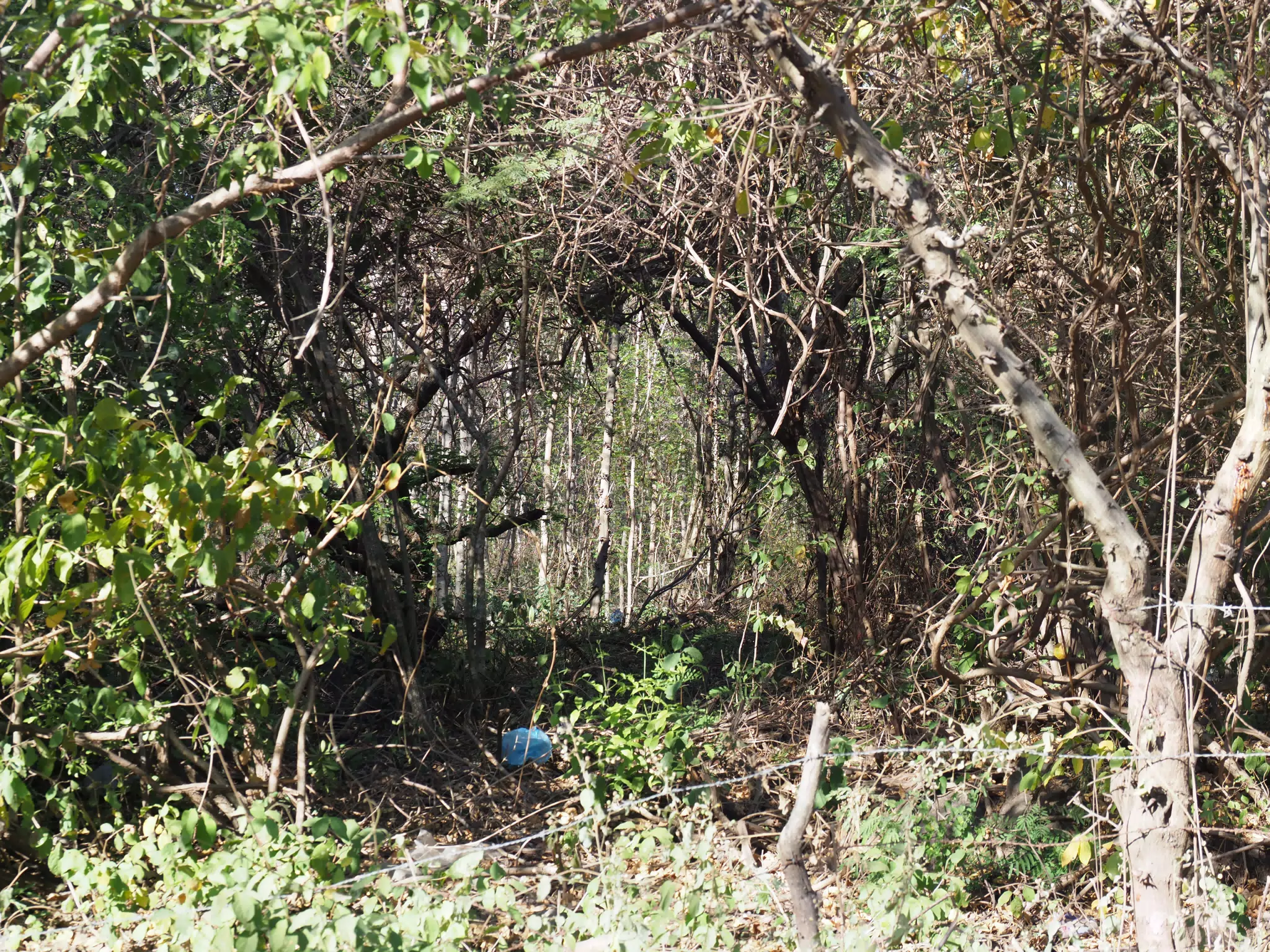 01073011