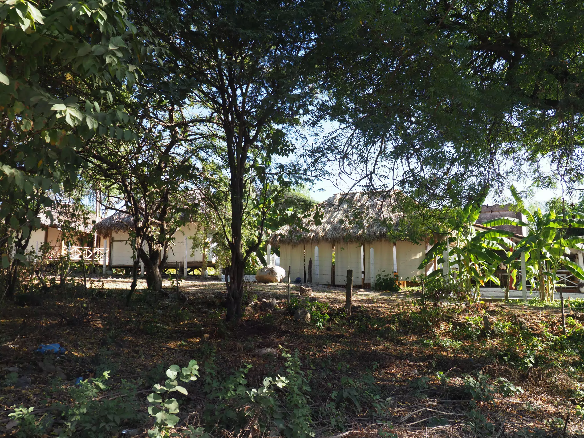 01072989