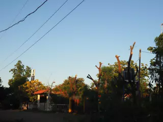 01123187
