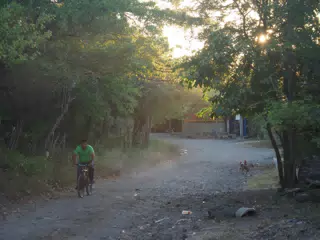01123166