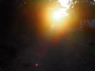 01123164