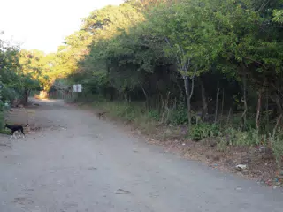 01123148
