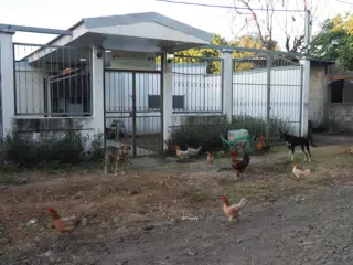 01123163