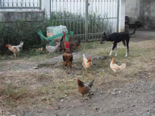 01123162