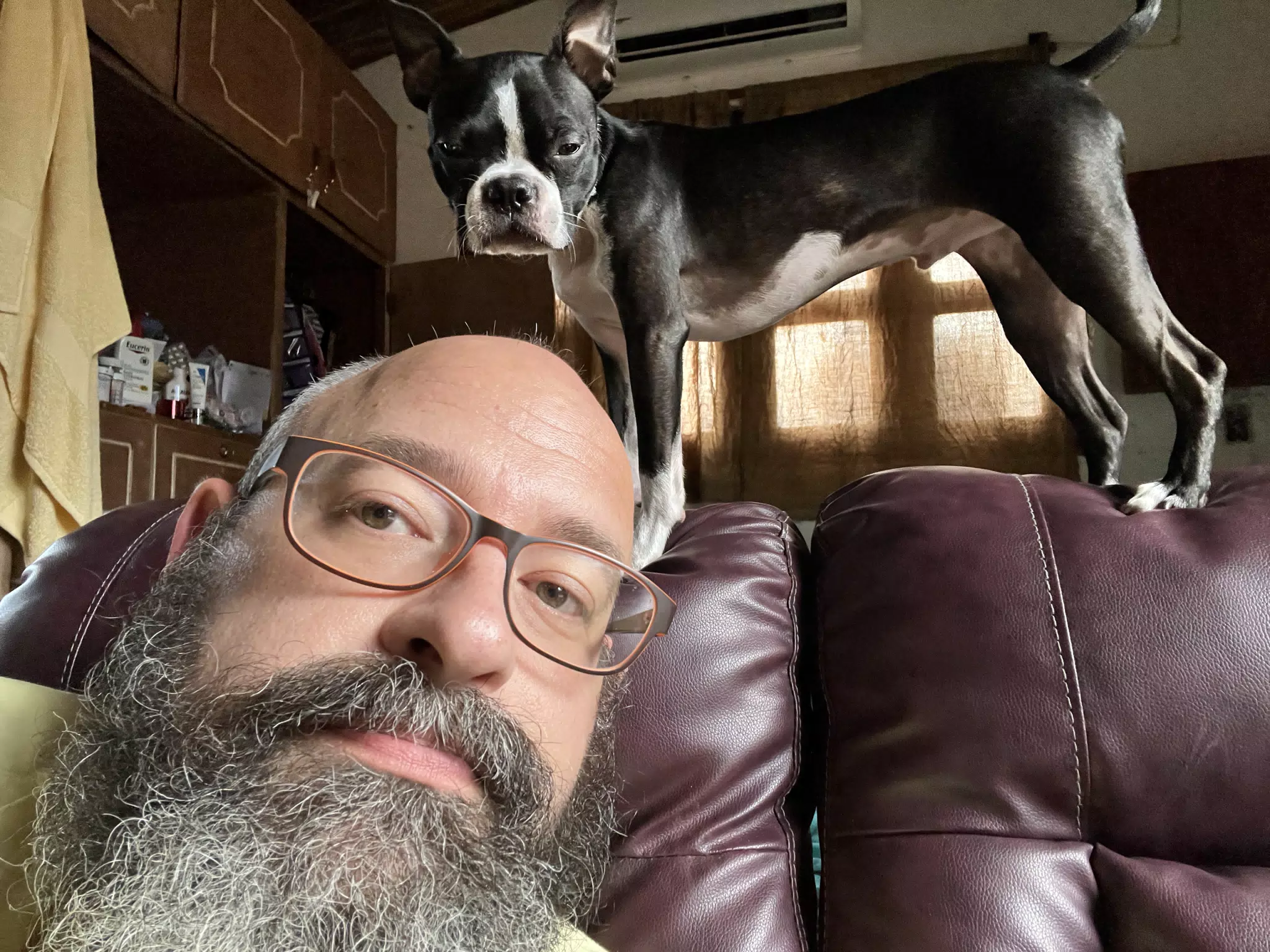 Clive is Watching Me