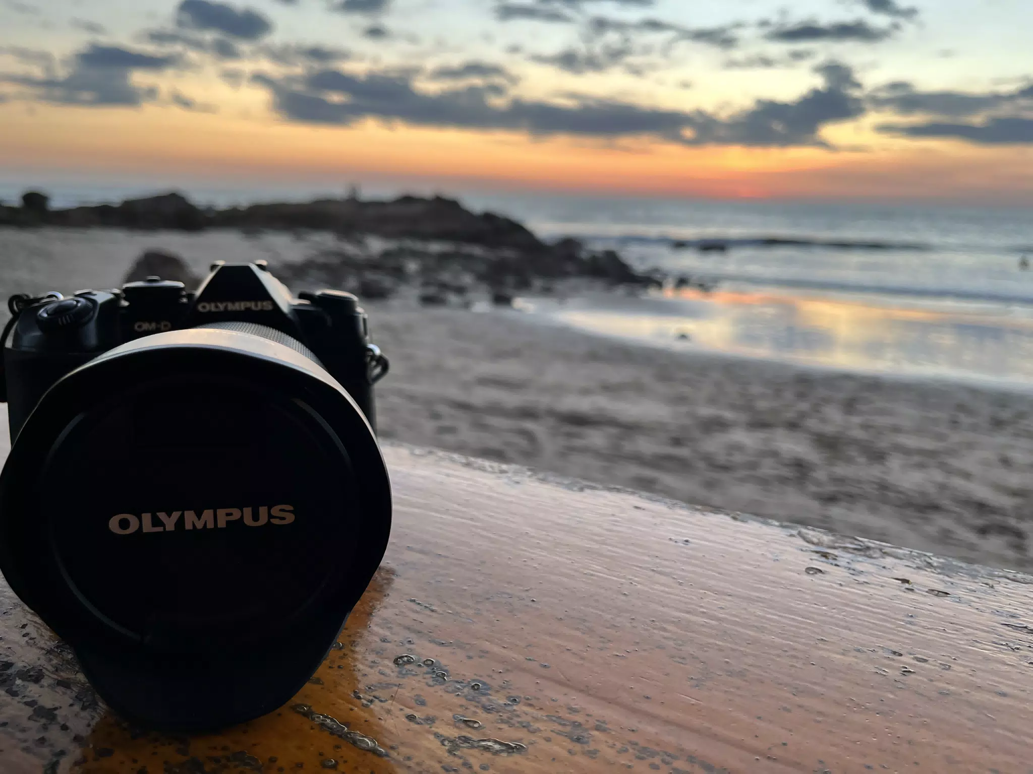 Olympus by the Ocean