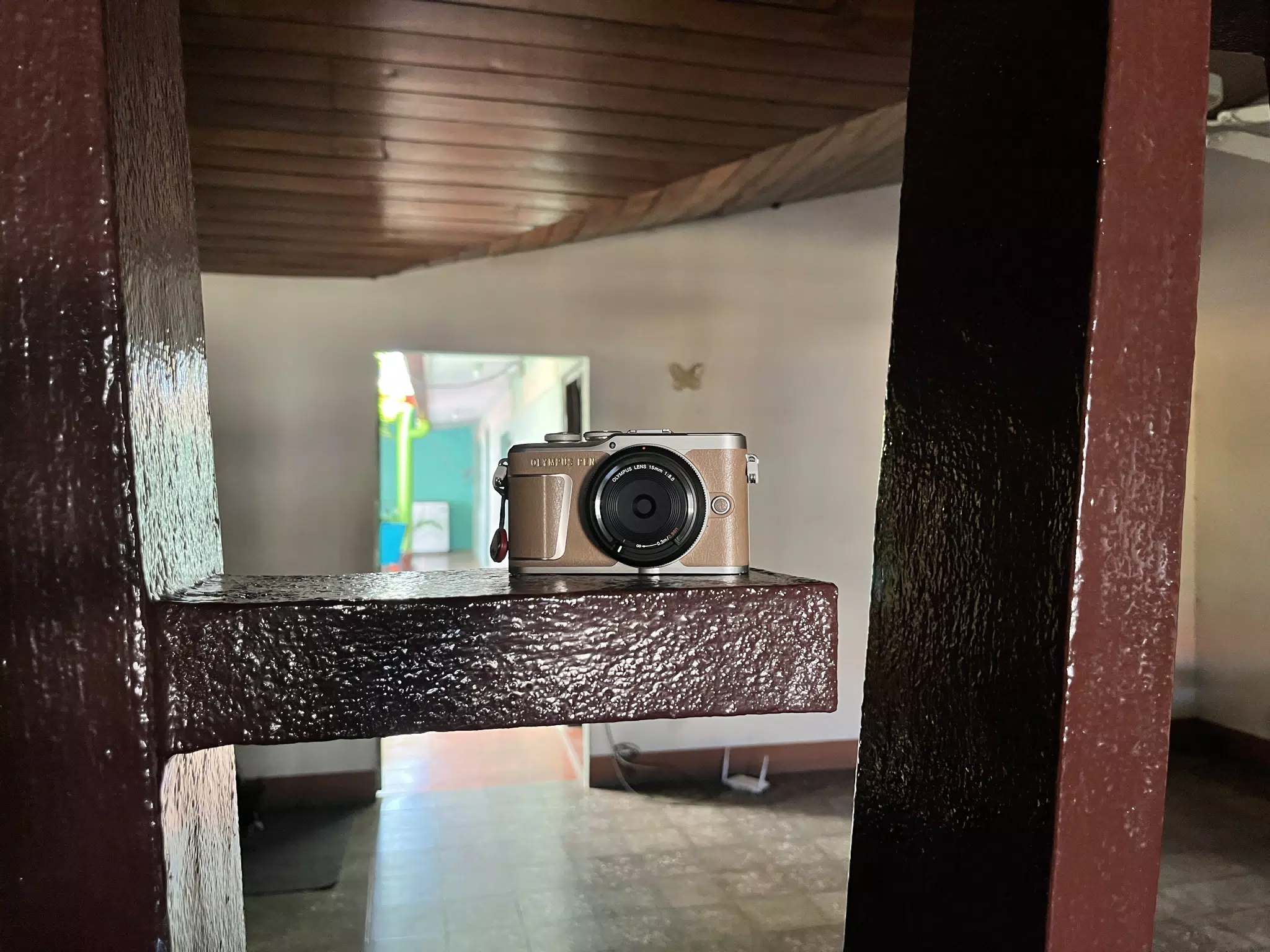 Olympus PEN E-PL9 Mocha on Shelf in Leon