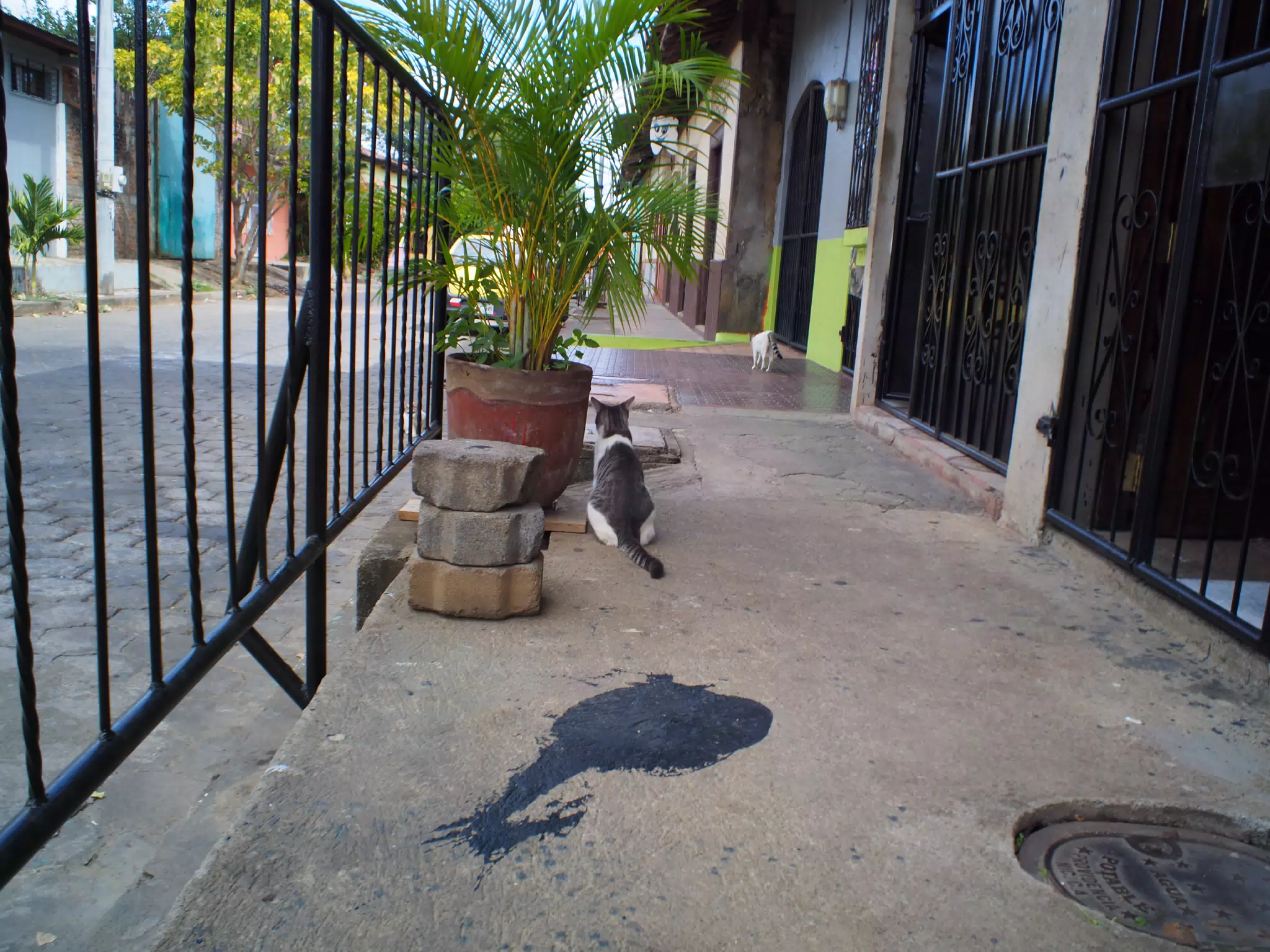 Leon Photowalk