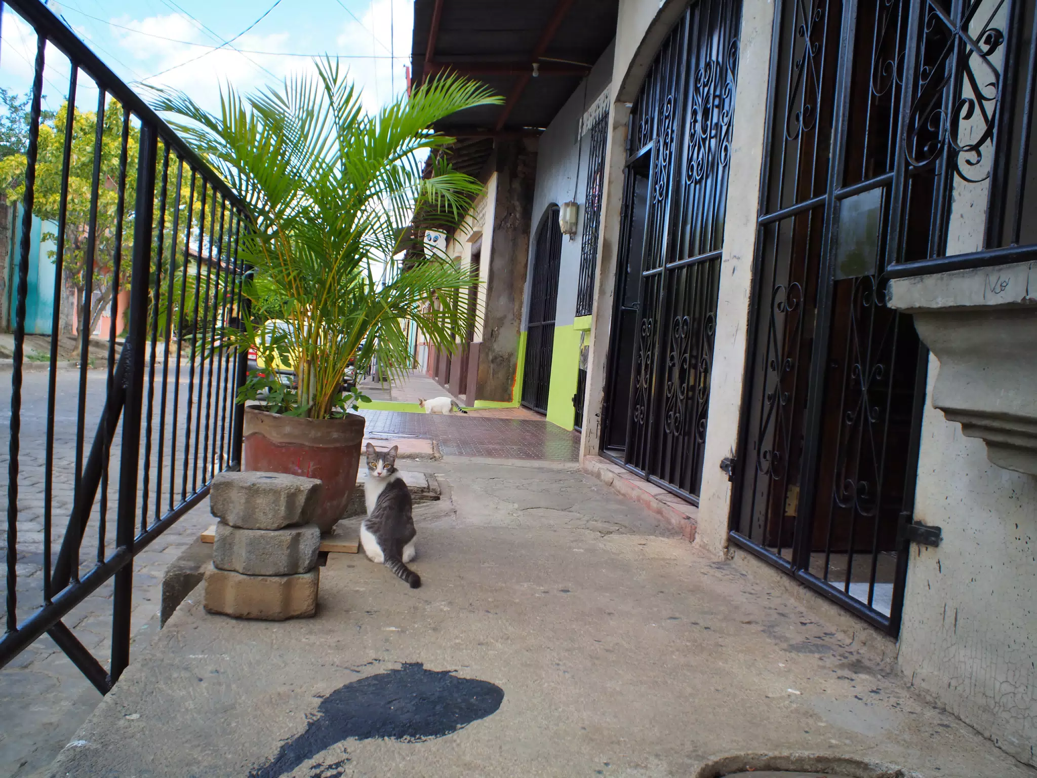 Leon Photowalk