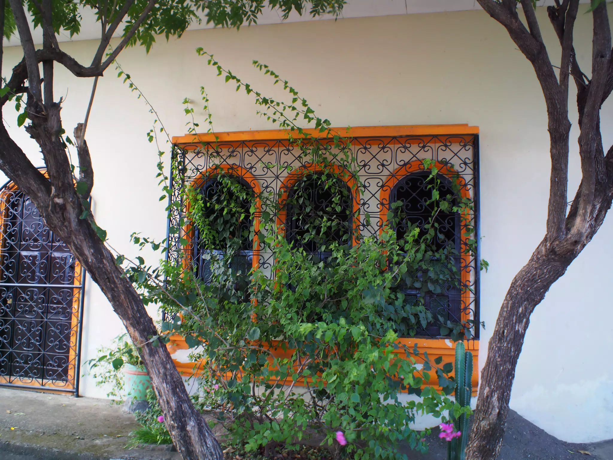 Beautiful Window in Barrio Guadalupe, Leon, Nicaragua