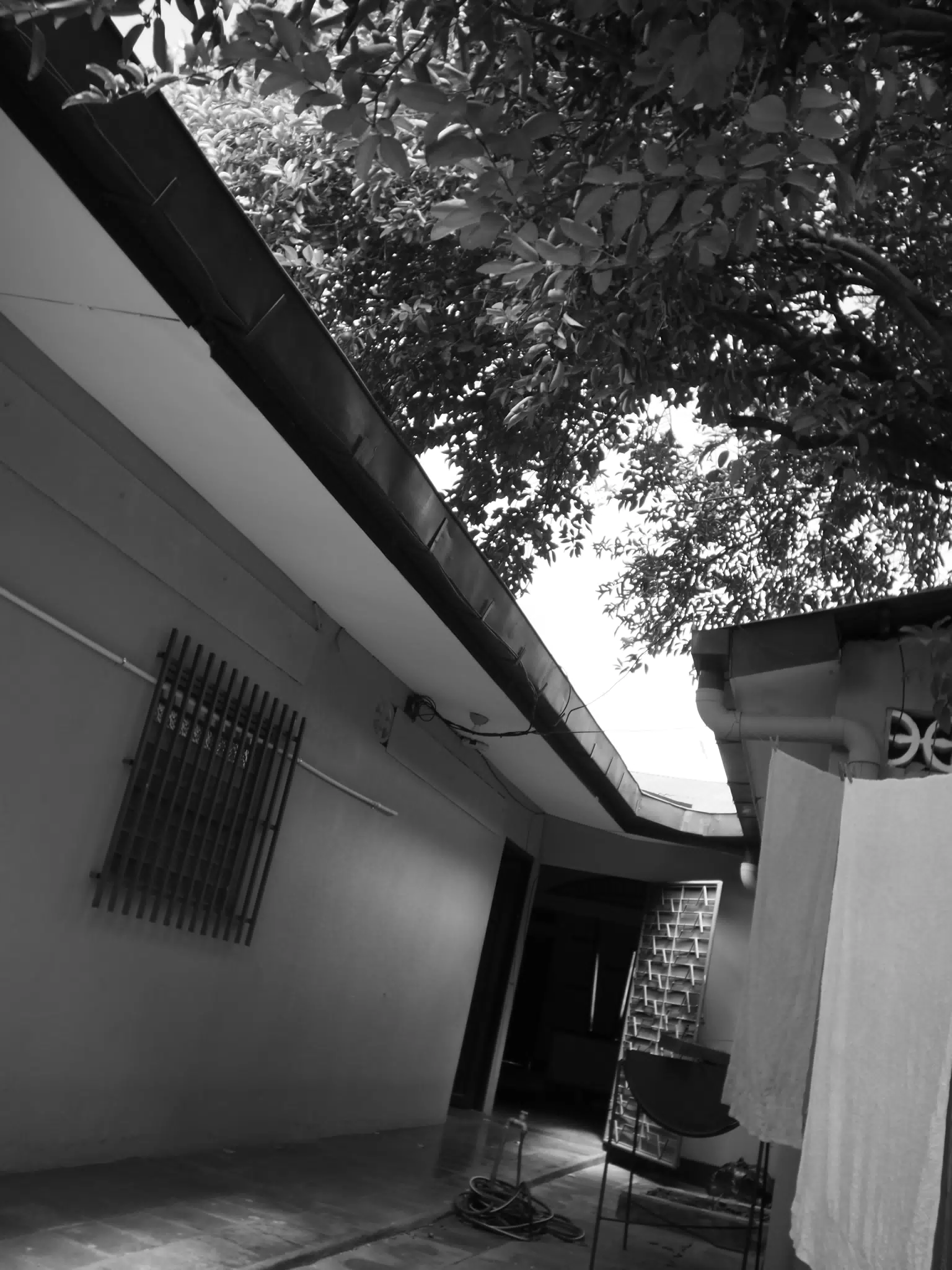 M.Zuiko 15mm f/8 Lens Test on PEN E-PL9